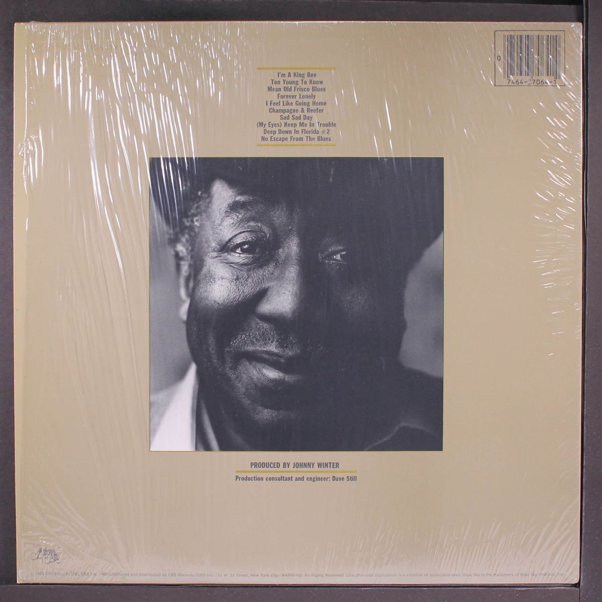 king bee by MUDDY WATERS