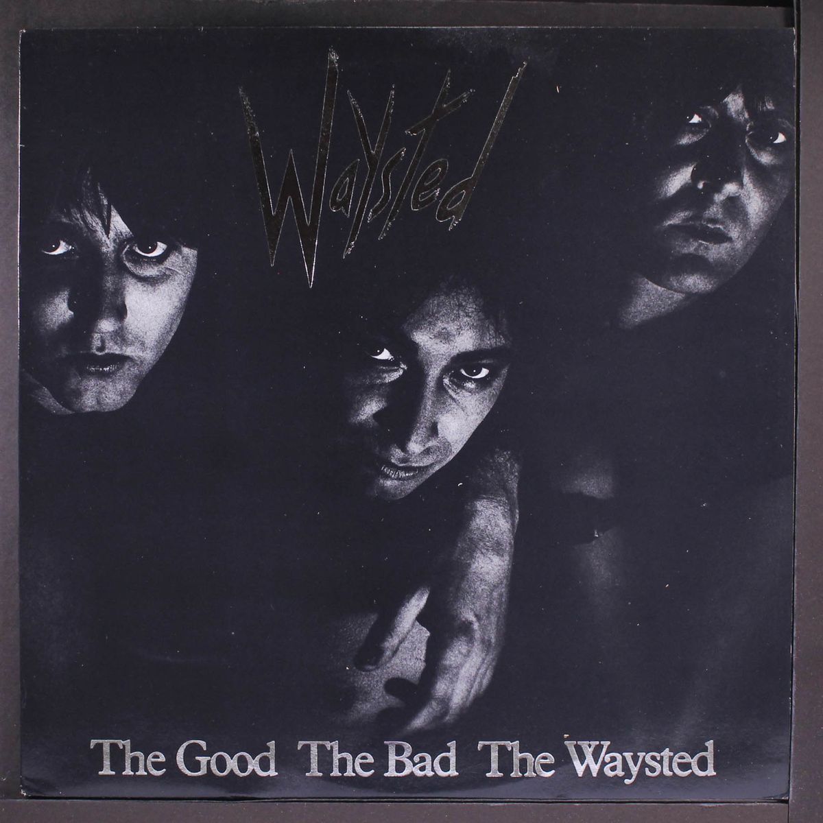 the good the bad the waysted by WAYSTED