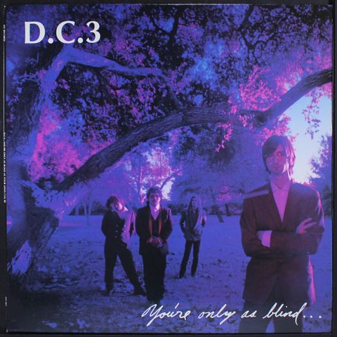 D.C. 3