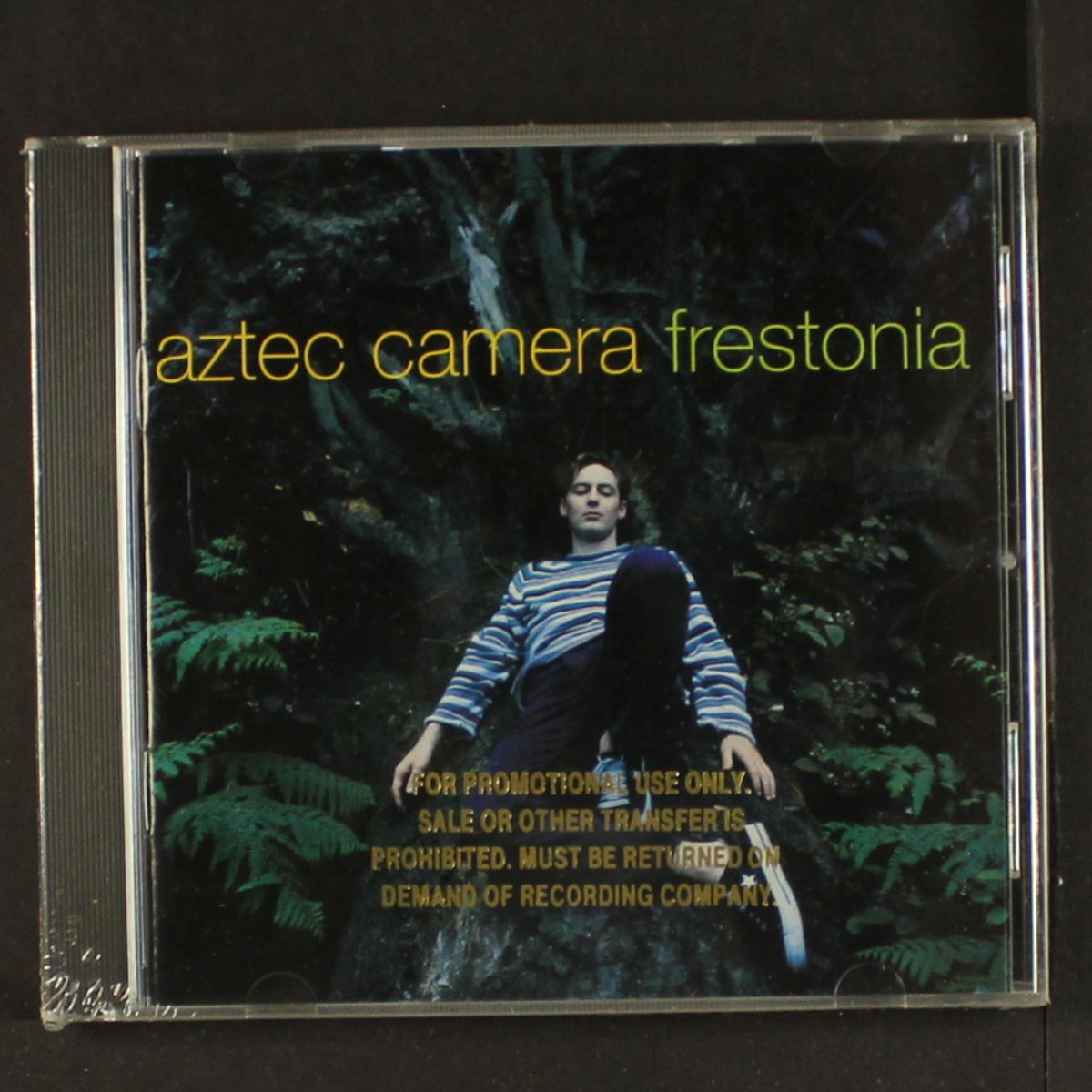 frestonia by AZTEC CAMERA