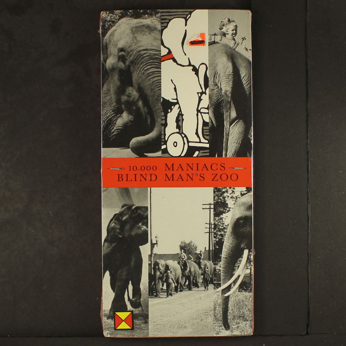 blind man's zoo by 10,000 MANIACS