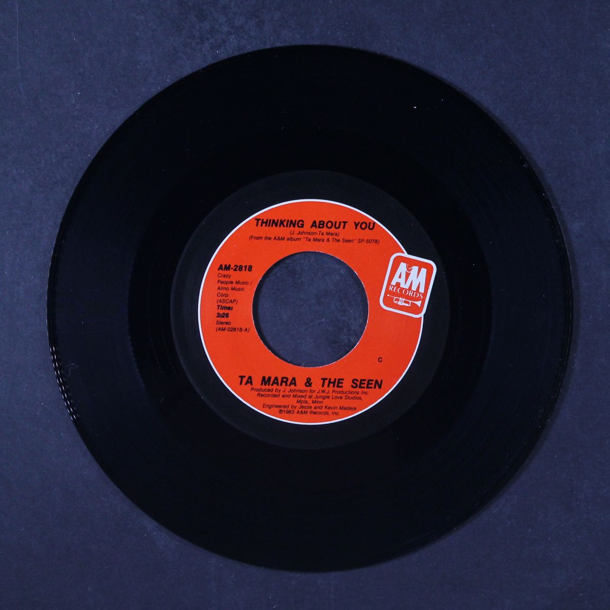thinking about you / long cold nights by TA MARA & THE SEEN
