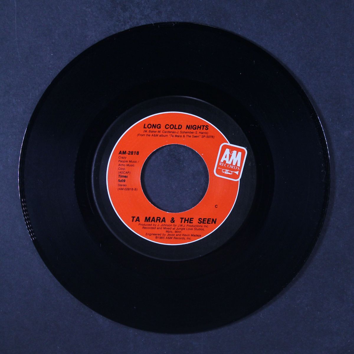 thinking about you / long cold nights by TA MARA & THE SEEN