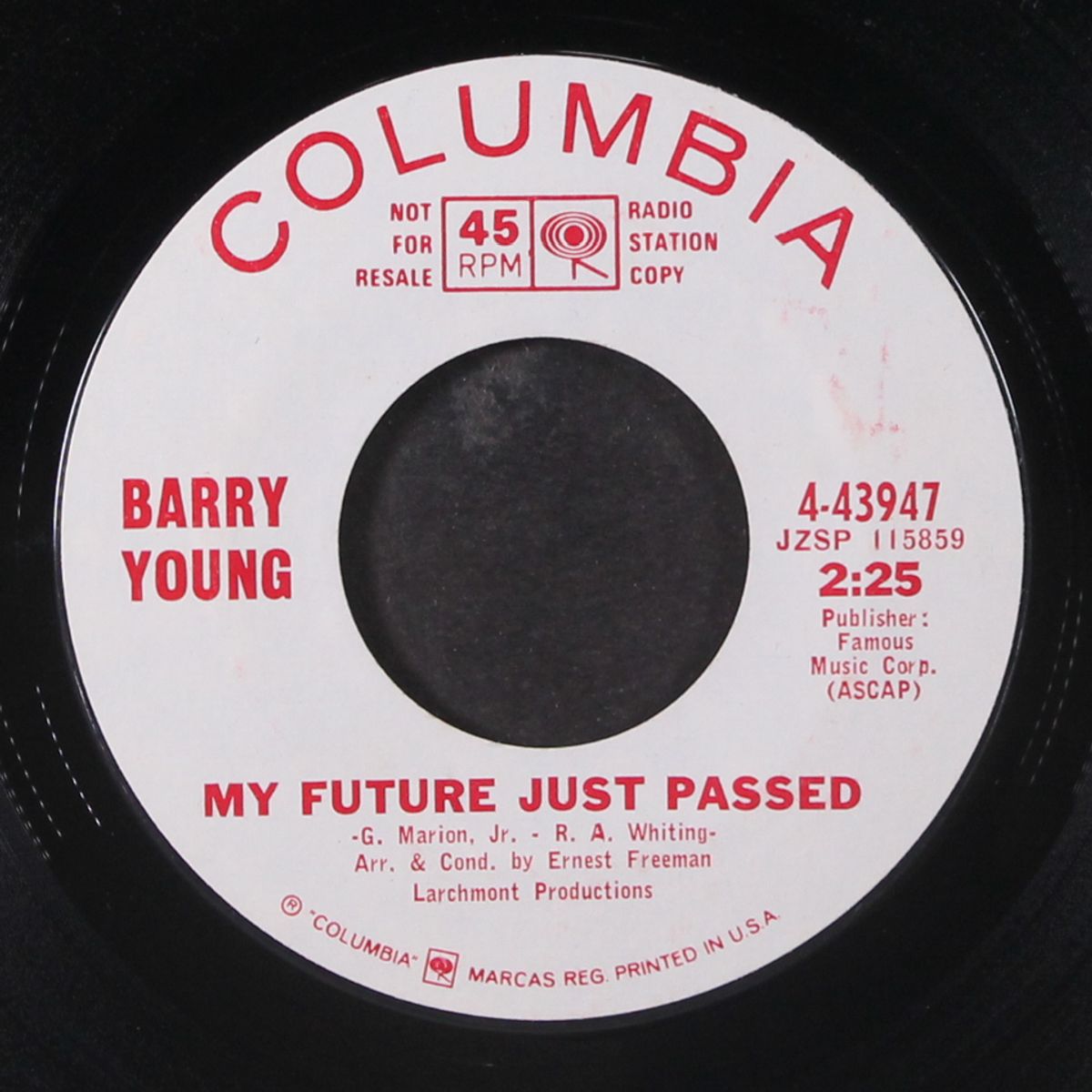 skin and bones / my future just passed by BARRY YOUNG