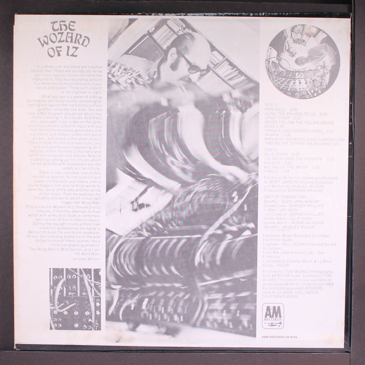 the wozard of iz by MORT GARSON / JACQUES WILSON