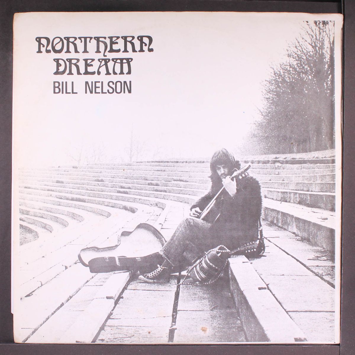 northern dream by BILL NELSON