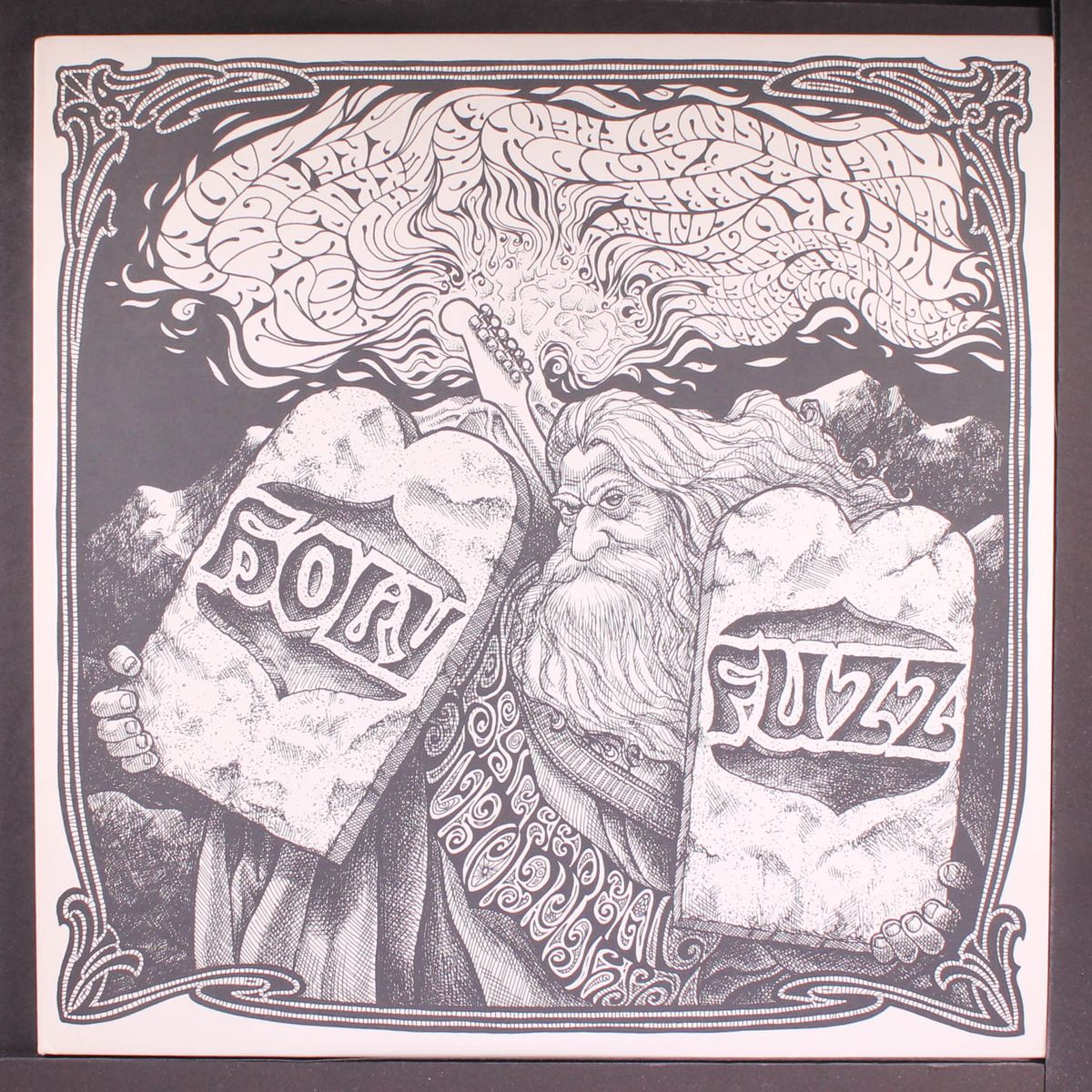 holy fuzz by VARIOUS