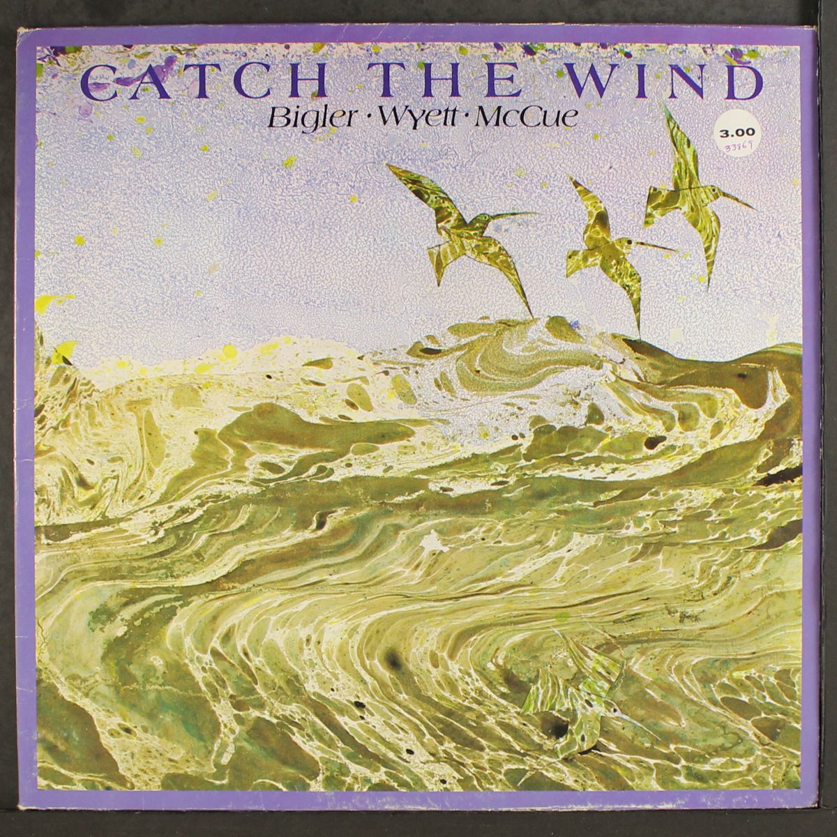 catch the wind by BIGLER, WYETT, MCCUE