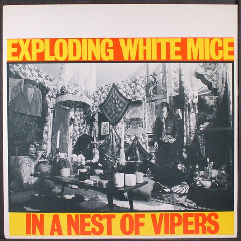 EXPLODING WHITE MICE