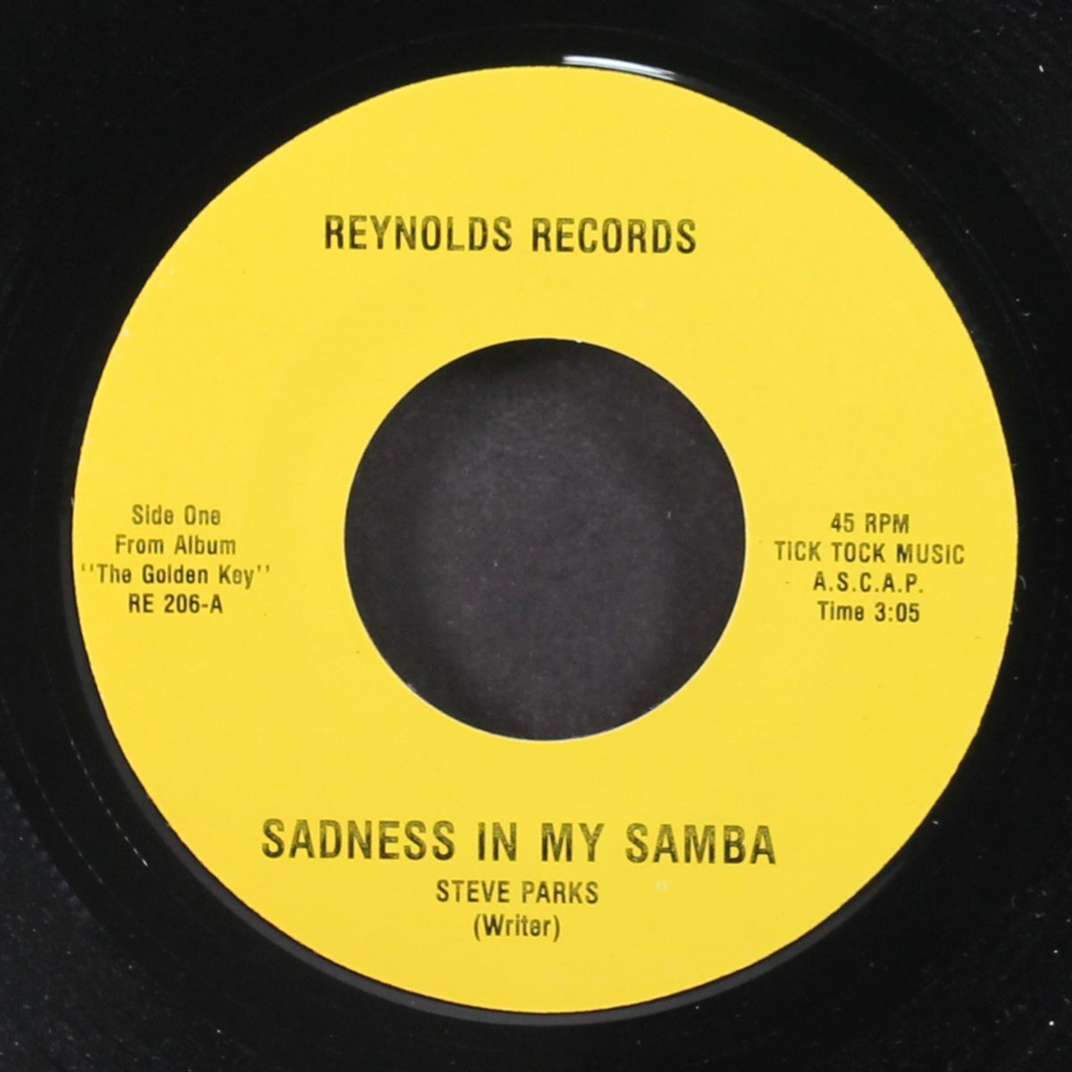 sadness in my samba / all in a day by STEVE PARKS