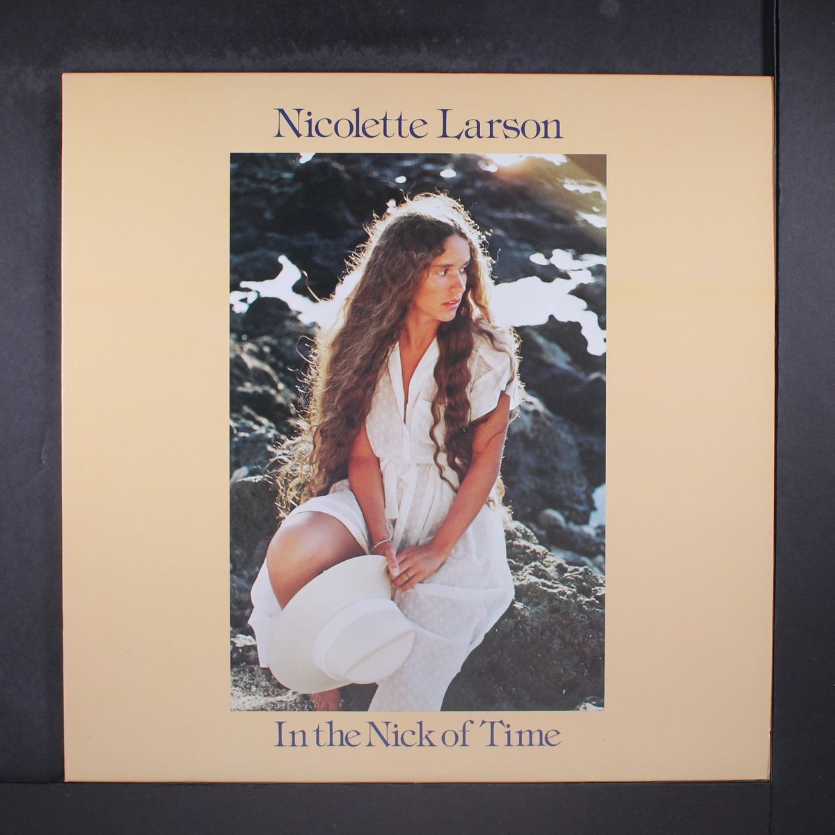 in the nick of time by NICOLETTE LARSON