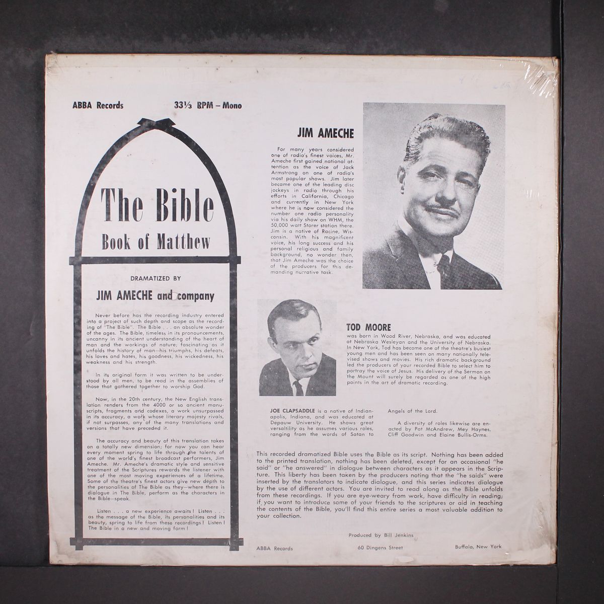 the bible - volume 2 matthew by JIM AMECHE