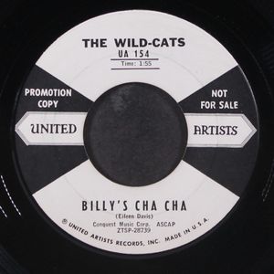 WILD-CATS