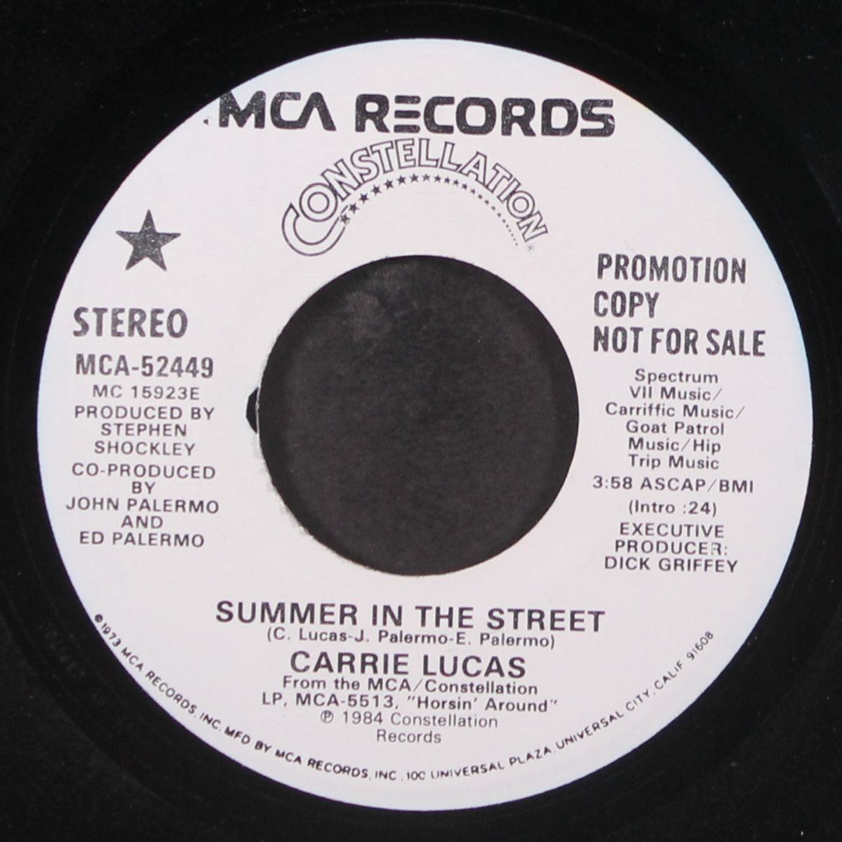 summer in the street / same by CARRIE LUCAS