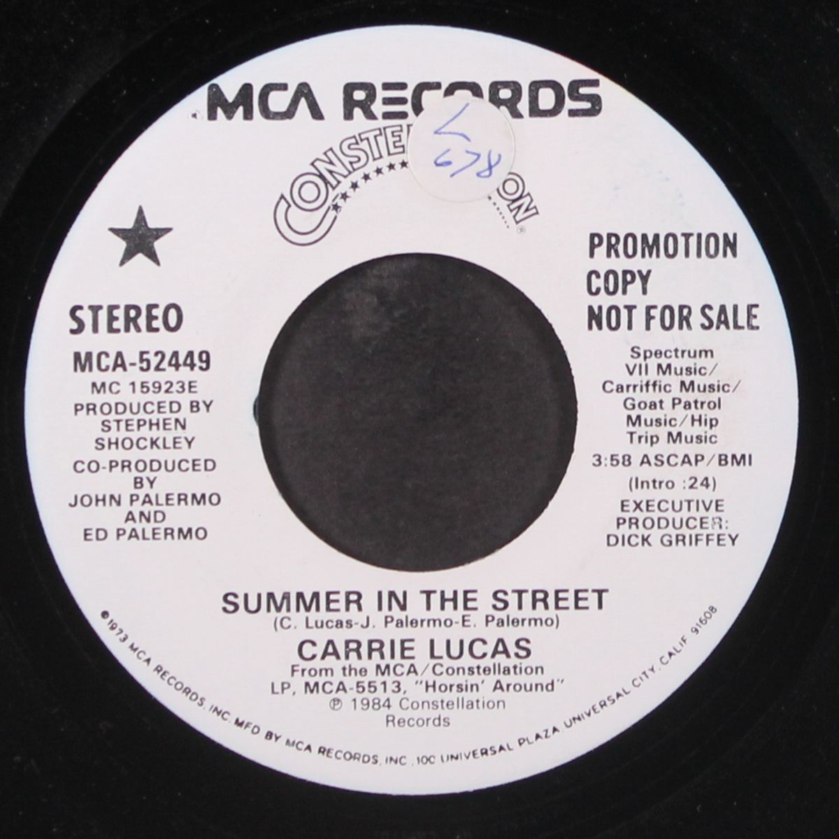 summer in the street / same by CARRIE LUCAS