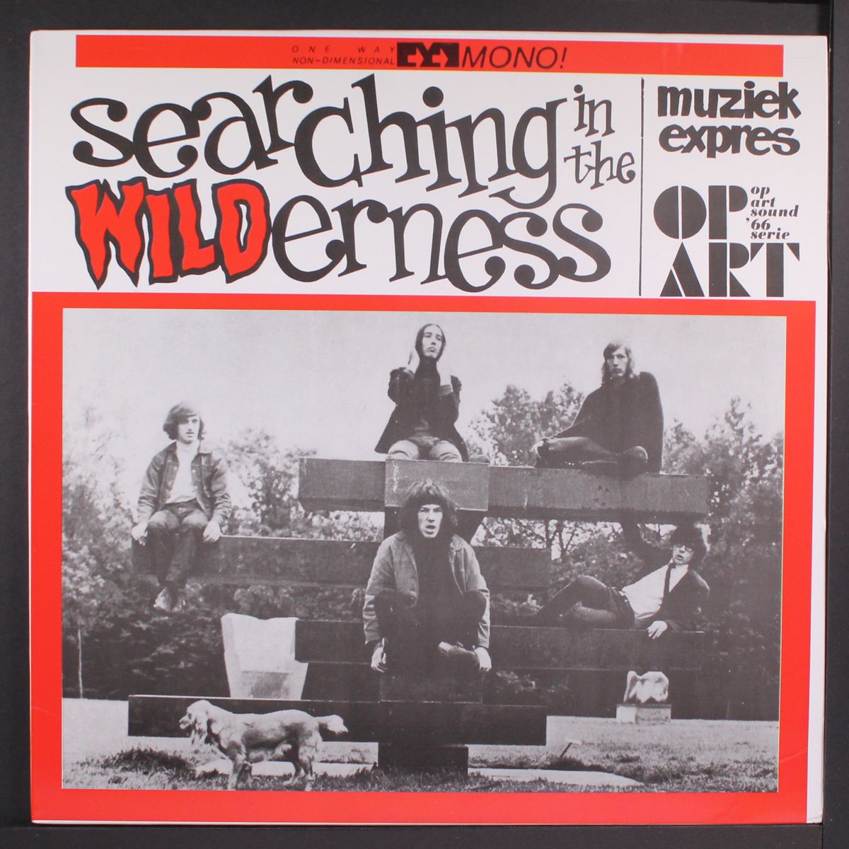searching in the wilderness by VARIOUS