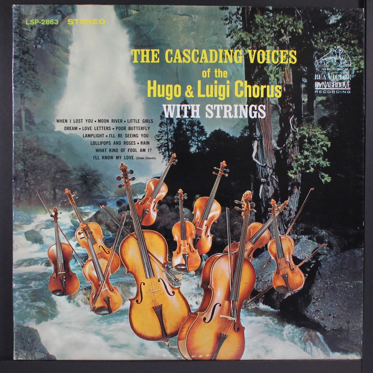 with strings by HUGO & LUIGI
