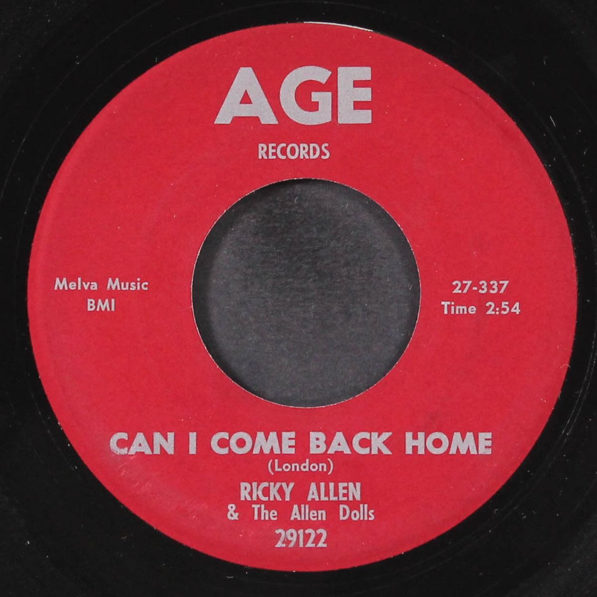eighty hour week / can i come back home by RICKY ALLEN