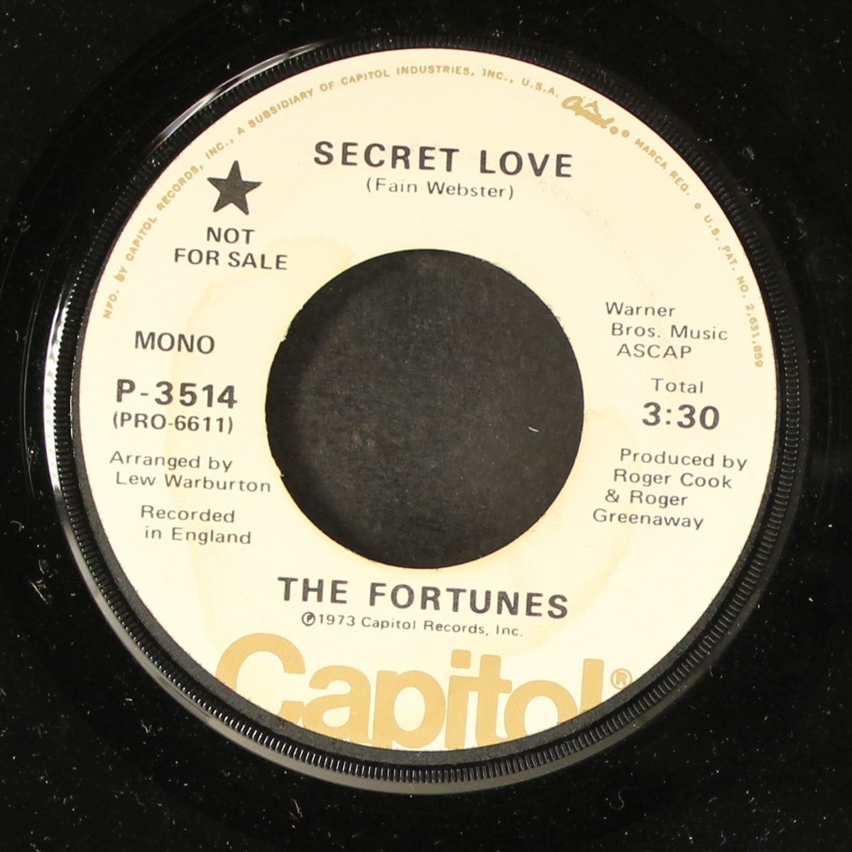 secret love by FORTUNES