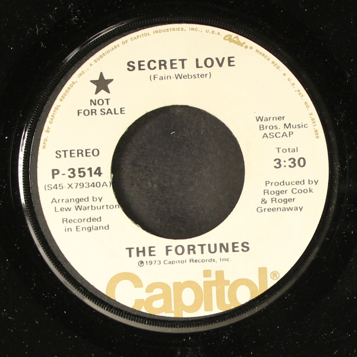 secret love by FORTUNES