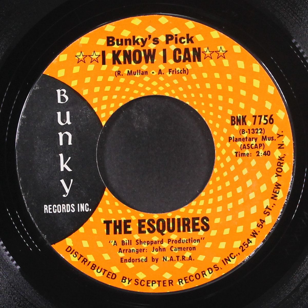 how could it be / i know i can by ESQUIRES