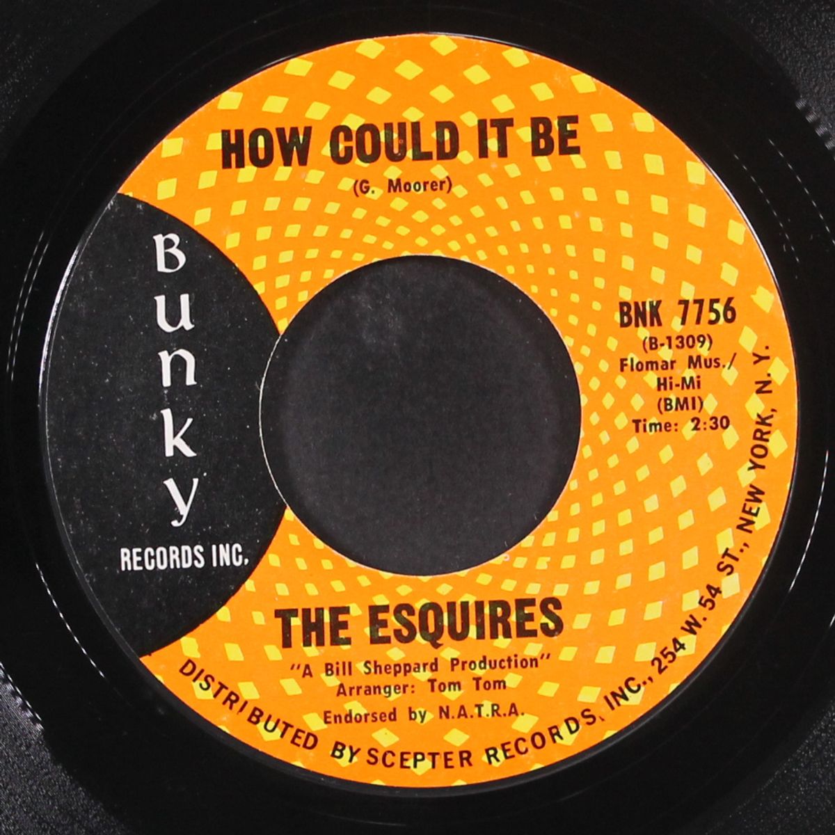 how could it be / i know i can by ESQUIRES