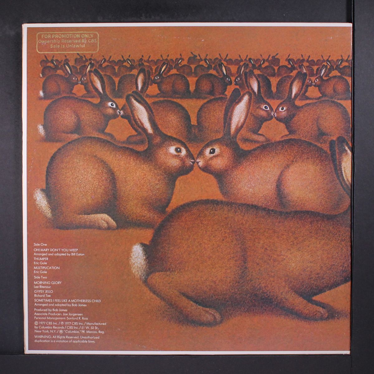 multiplication by ERIC GALE