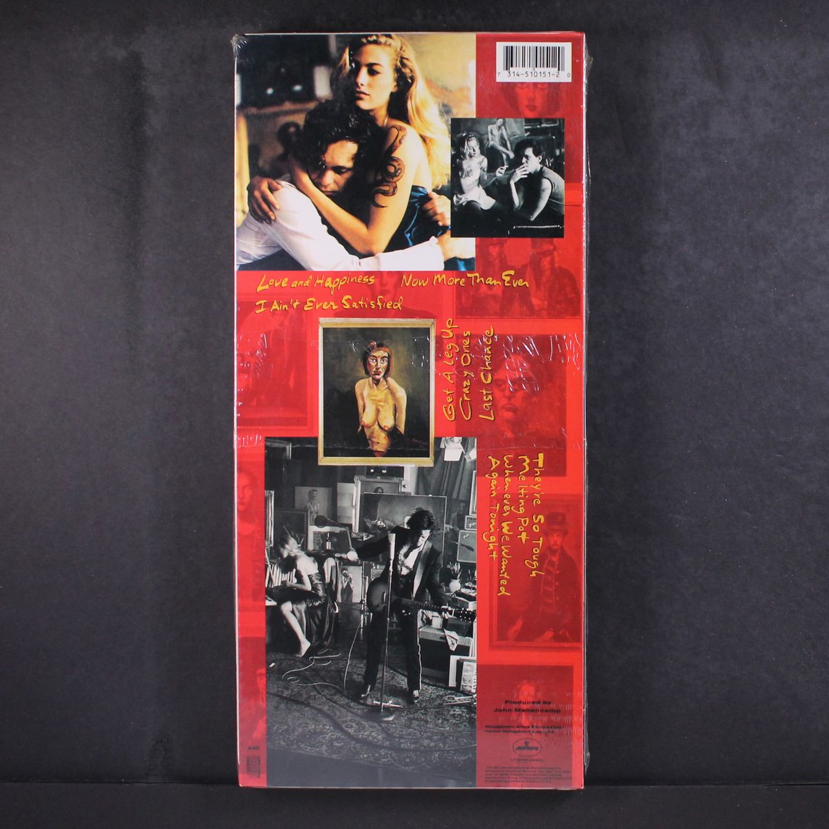 whenever we wanted by JOHN MELLENCAMP