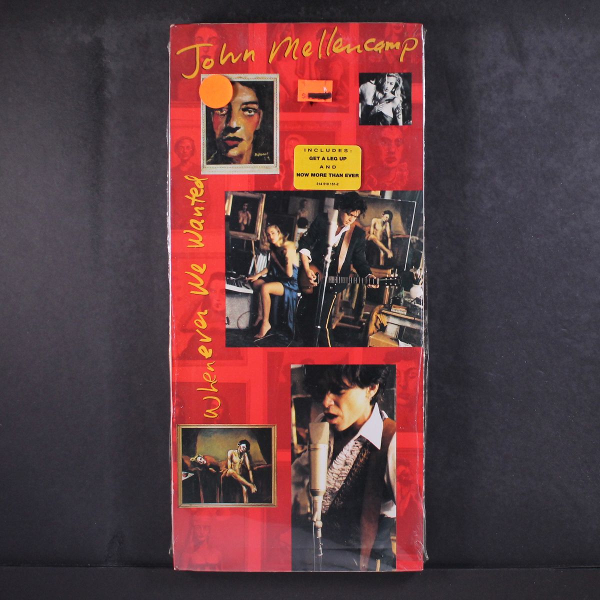 whenever we wanted by JOHN MELLENCAMP