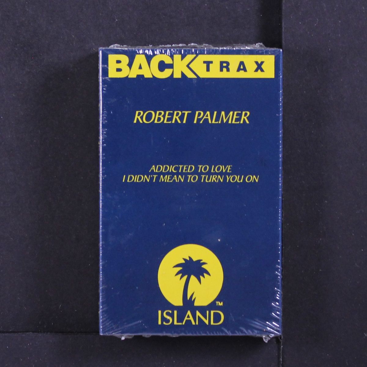 addicted to love by ROBERT PALMER