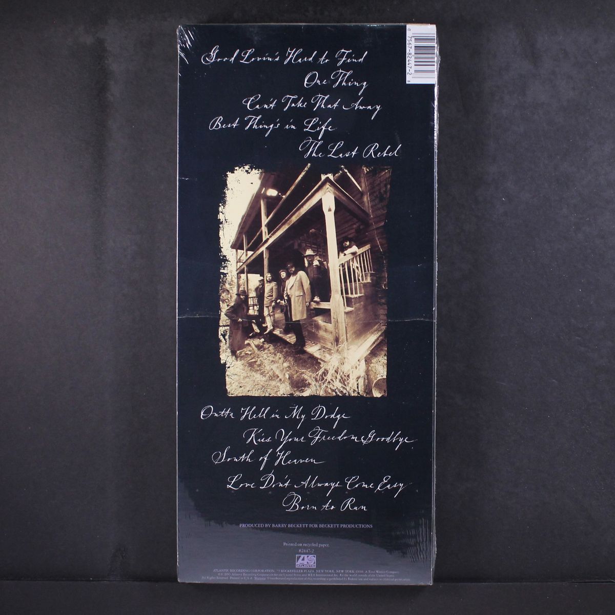 the last rebel by LYNYRD SKYNYRD