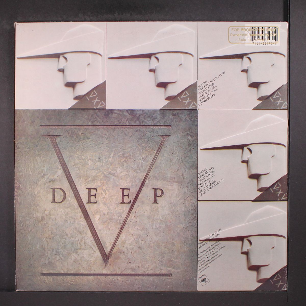 v deep by BOOMTOWN RATS