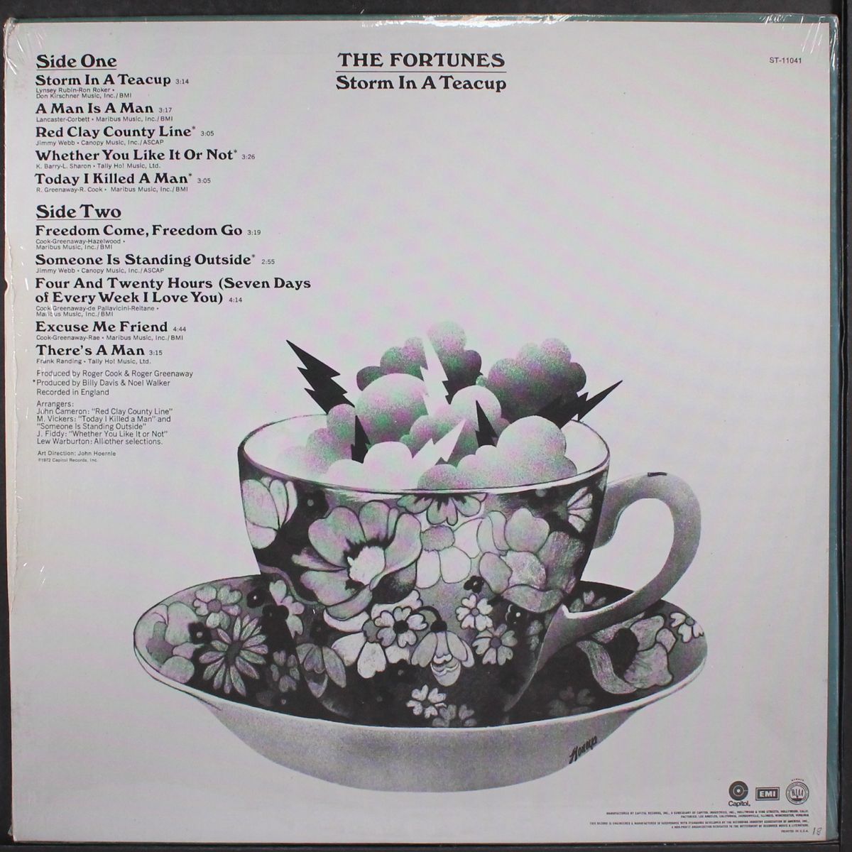 storm in a teacup by FORTUNES