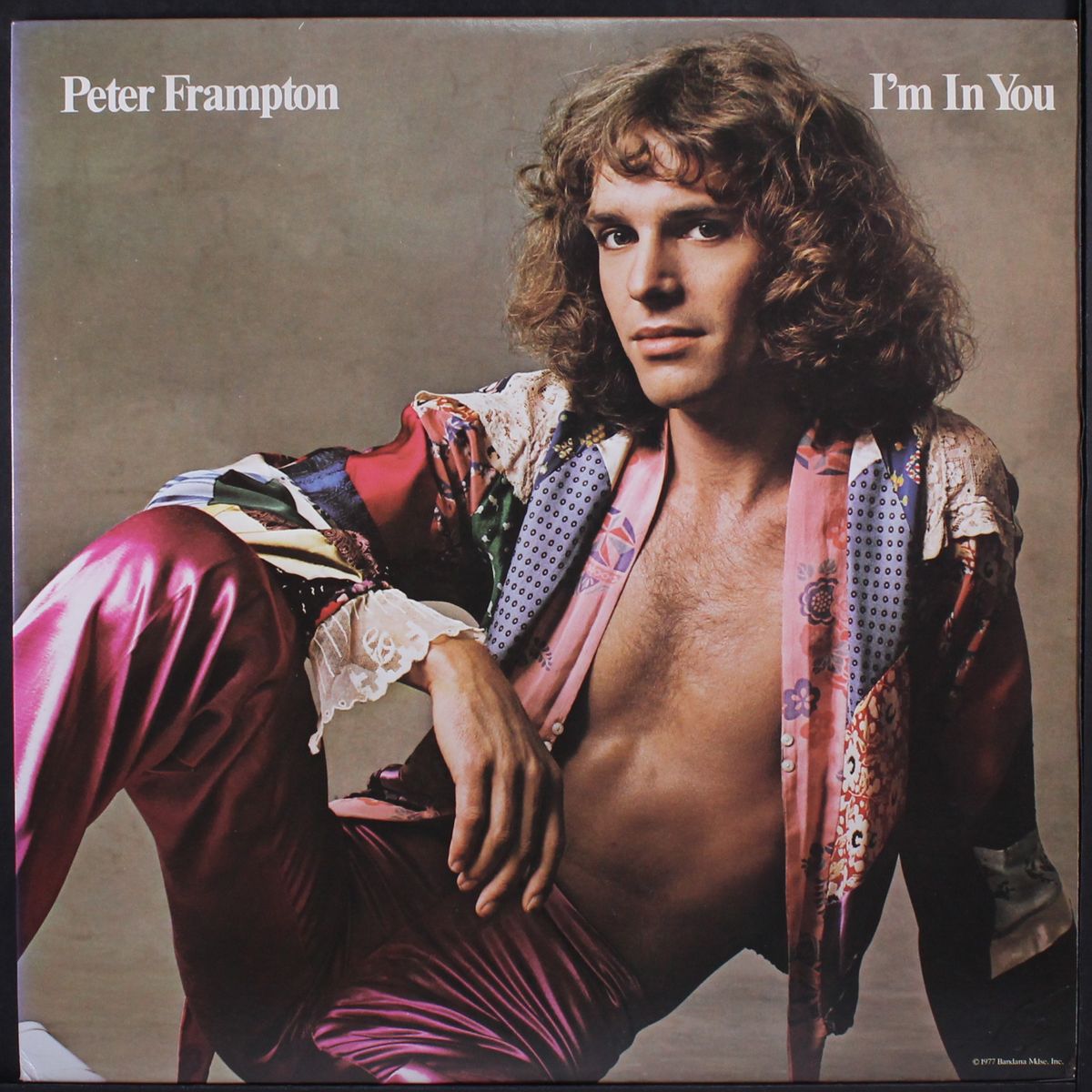 i'm in you by PETER FRAMPTON