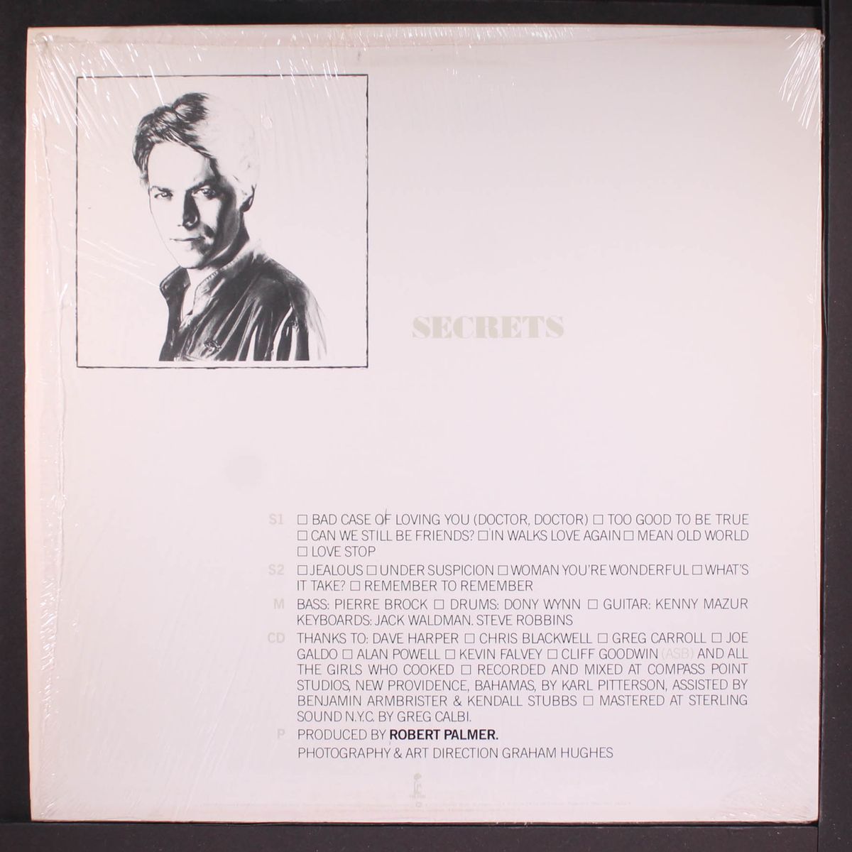 secrets by ROBERT PALMER