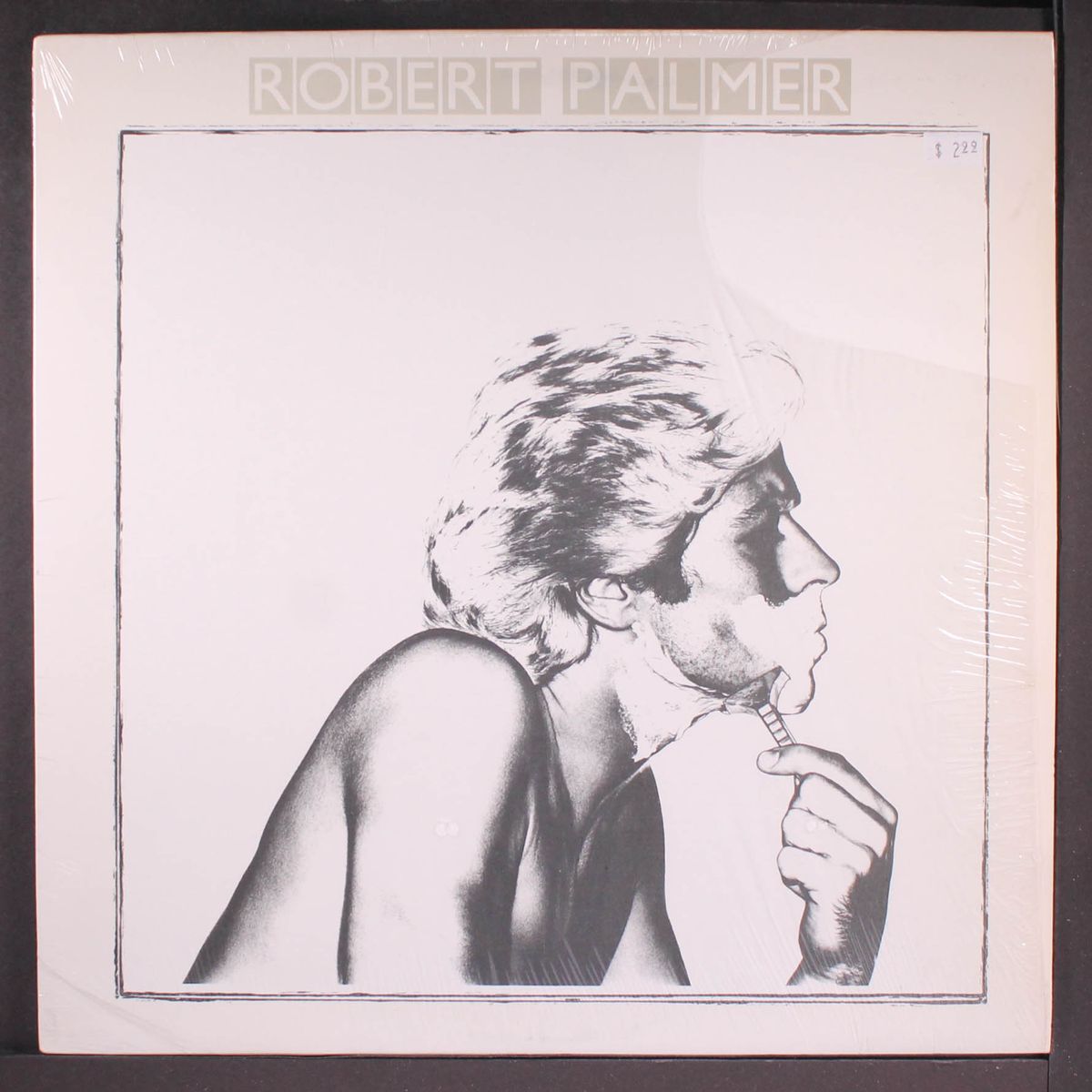 secrets by ROBERT PALMER