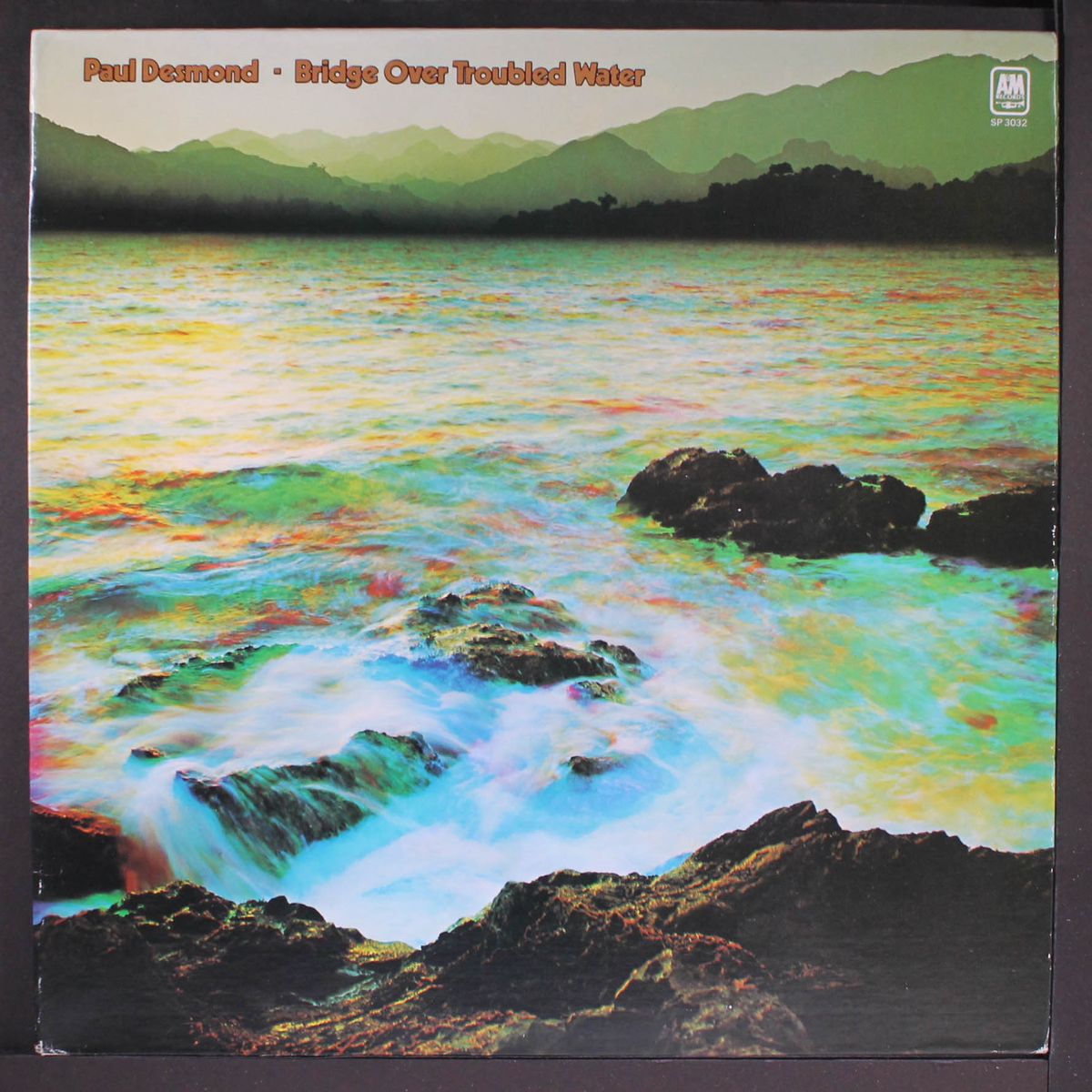 bridge over troubled water by PAUL DESMOND
