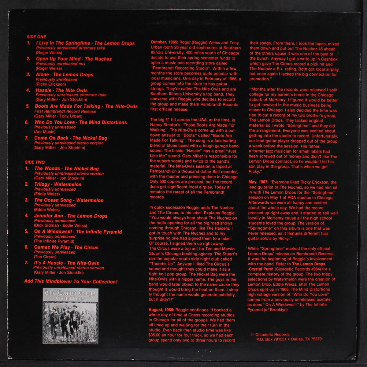 chicago garage band greats; the best of rembrandt records 1966-1968 by VARIOUS