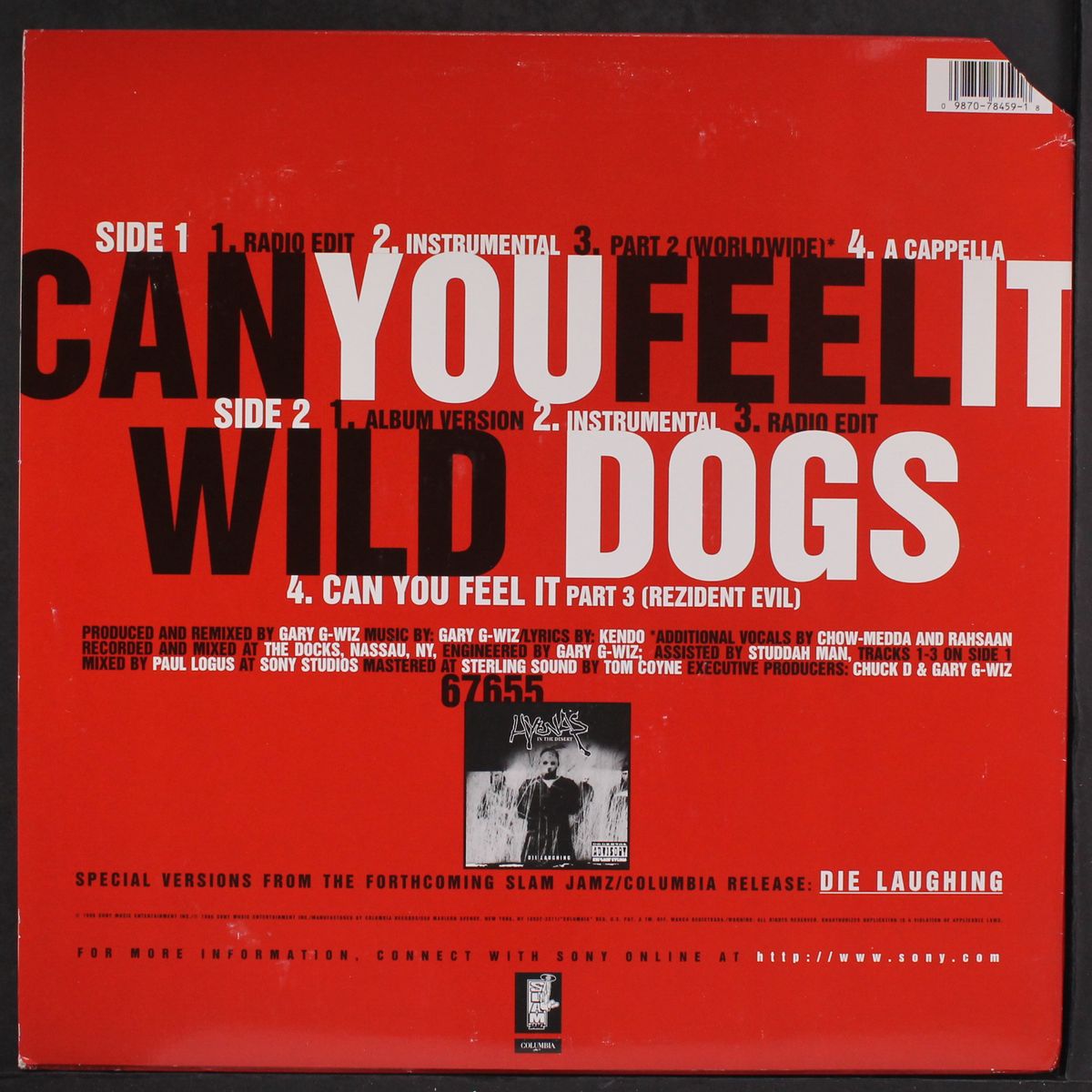 can you feel it by HYENAS IN THE DESERT