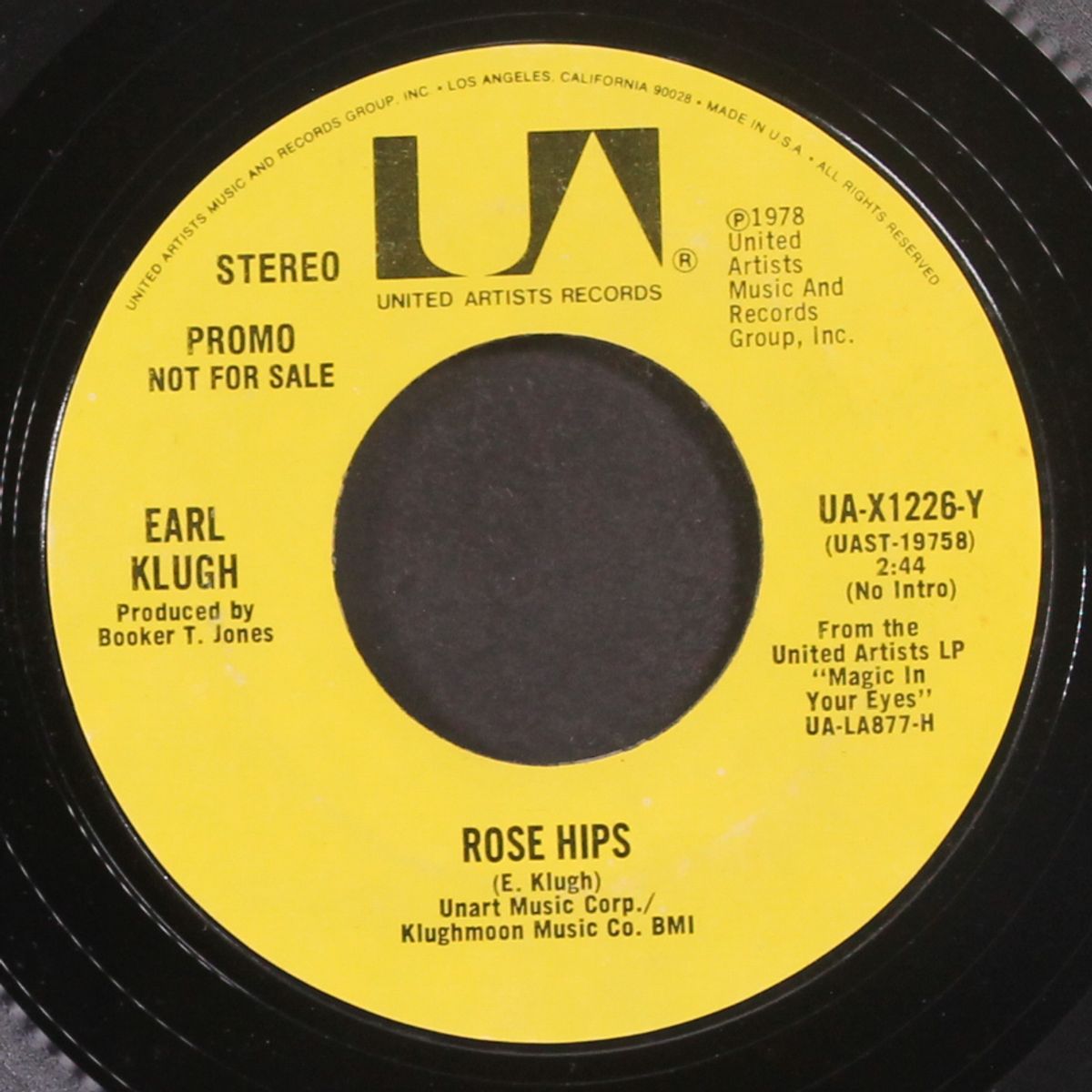 rose hips / mono by EARL KLUGH