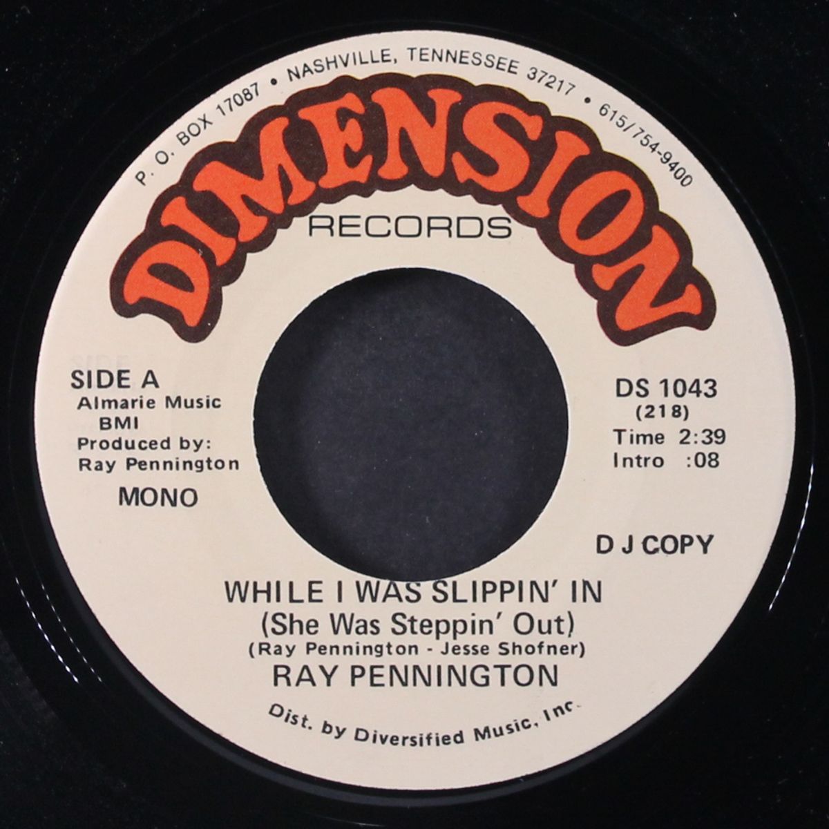 while i was slippin' in / mono by RAY PENNINGTON