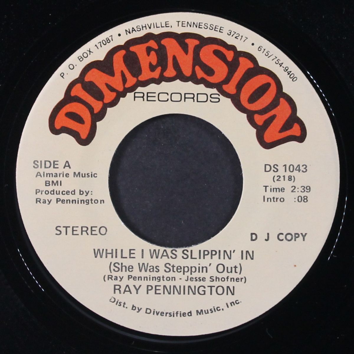 while i was slippin' in / mono by RAY PENNINGTON