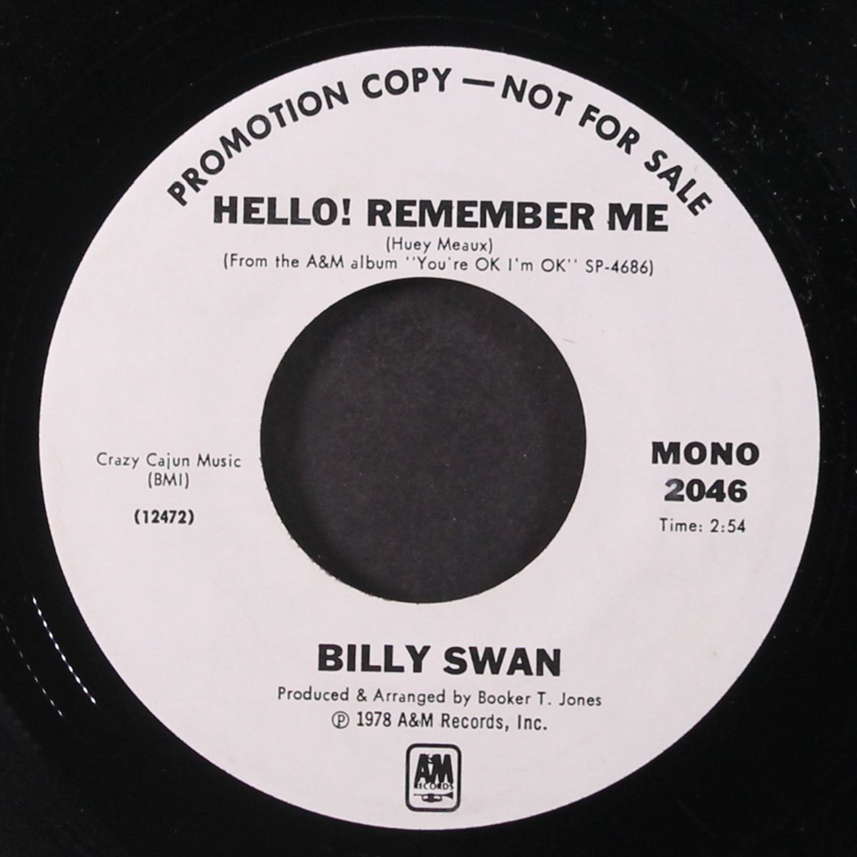 hello! remember me / mono by BILLY SWAN
