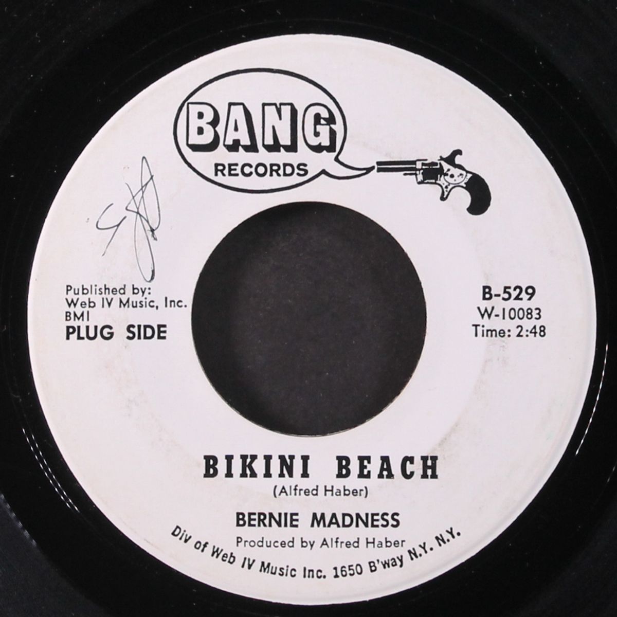 bikini beach / pleasant dreams by BERNIE MADNESS