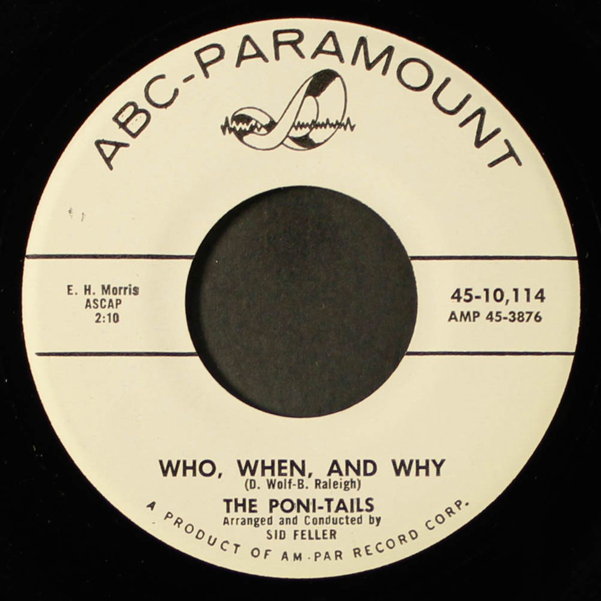 who, when, and why / oh, my, you by PONI-TAILS
