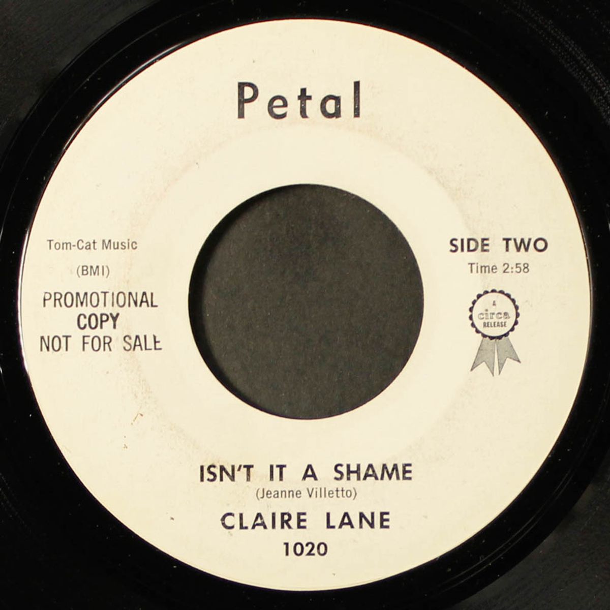 isn't it a shame / curiosity by CLAIRE LANE