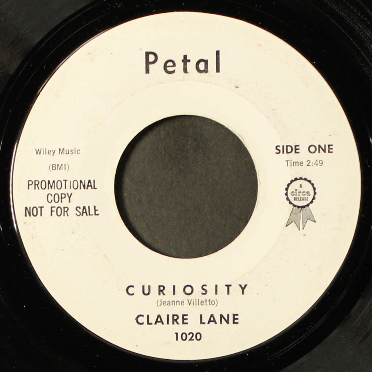 isn't it a shame / curiosity by CLAIRE LANE