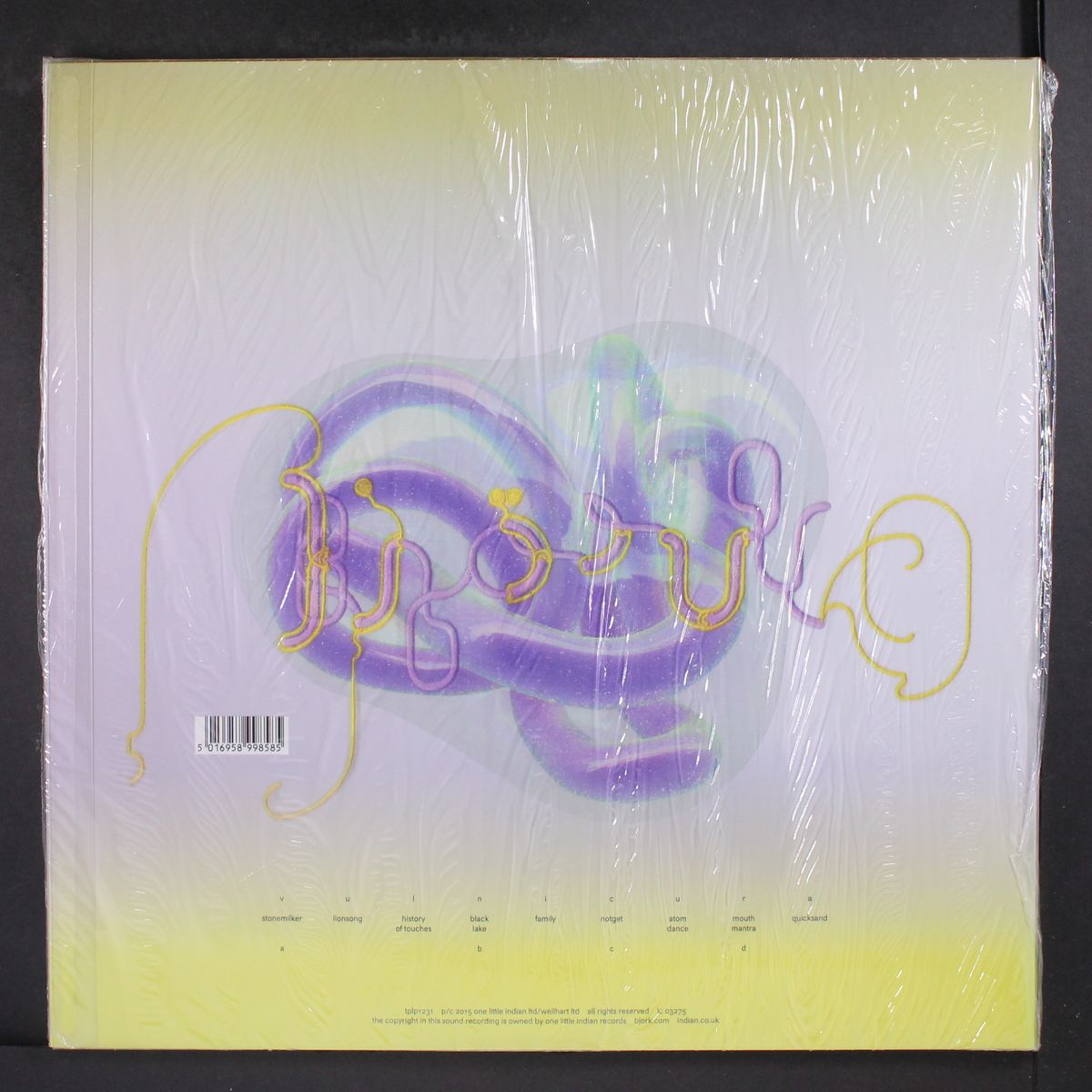 vulnicura by BJORK