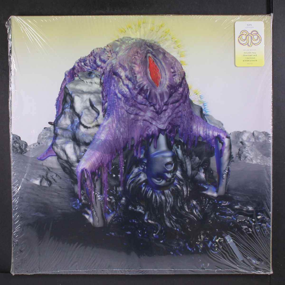 vulnicura by BJORK