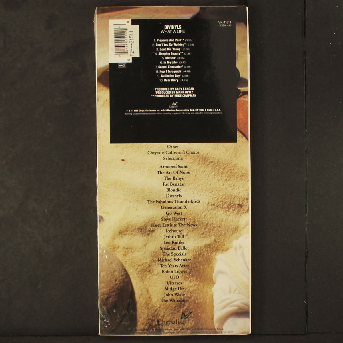what a life by DIVINYLS